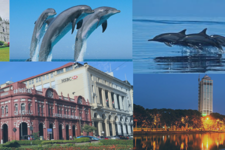 Dolphin Watching and Colombo City Tour