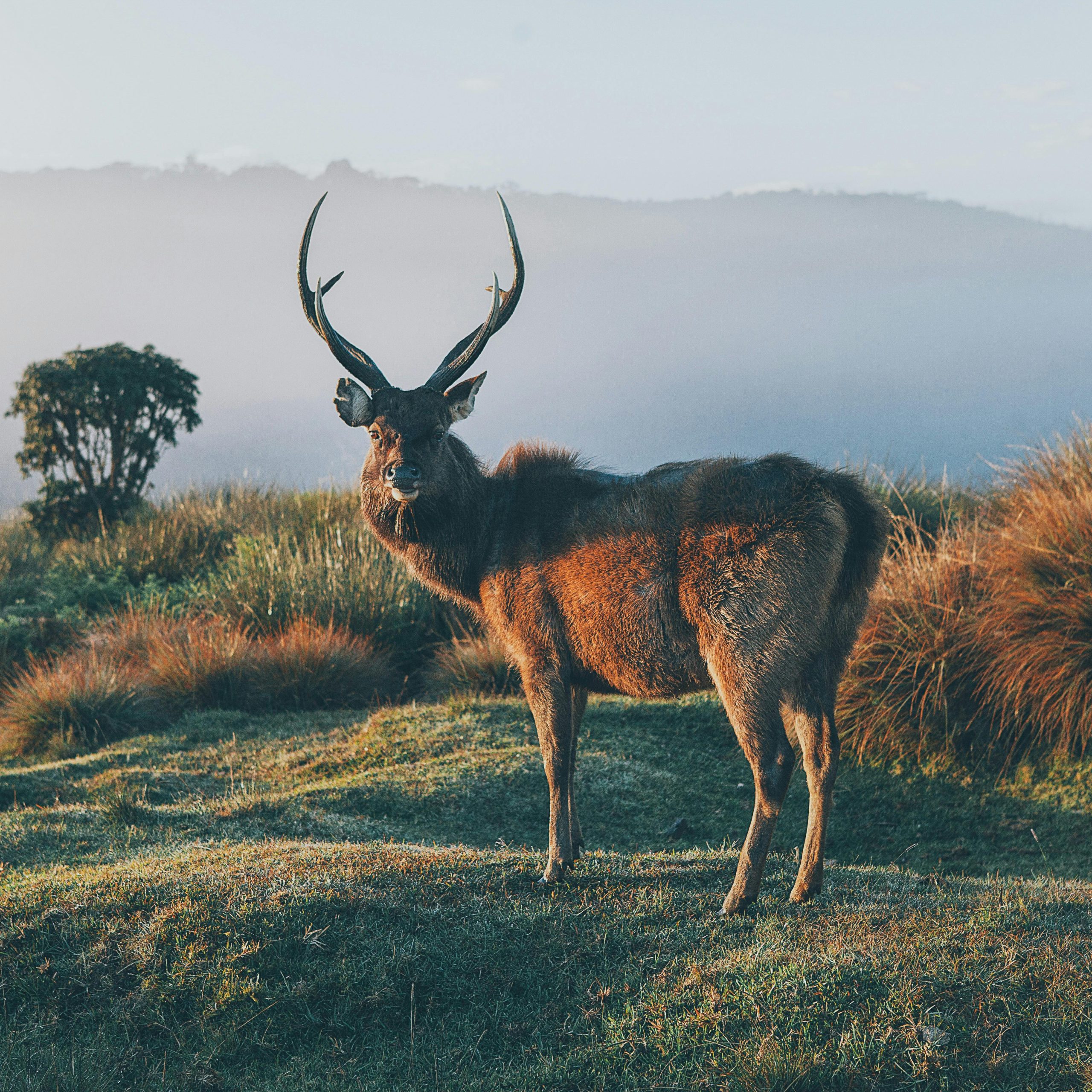 Day 3: Knuckles to Horton Plains 